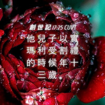 Picture 04 - 創 世 記 17:25 CUVT - 他 兒 子 以 實 瑪 利 受 割 禮 的 時 - Bible Verse Picture