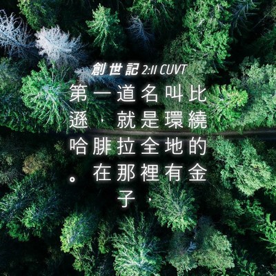 Picture 04 - 創 世 記 2:11 CUVT - 第 一 道 名 叫 比 遜 ， 就 是 環 繞 - Bible Verse Picture