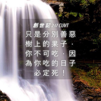 Picture 04 - 創 世 記 2:17 CUVT - 只 是 分 別 善 惡 樹 上 的 果 子 ， - Bible Verse Picture