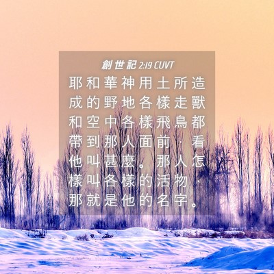 Picture 04 - 創 世 記 2:19 CUVT - 耶 和 華 神 用 土 所 造 成 的 野 地 - Bible Verse Picture