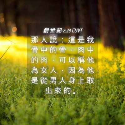 Picture 04 - 創 世 記 2:23 CUVT - 那 人 說 ： 這 是 我 骨 中 的 骨 ， - Bible Verse Picture