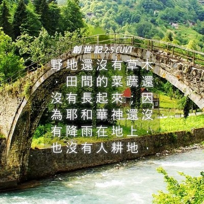 Picture 04 - 創 世 記 2:5 CUVT - 野 地 還 沒 有 草 木 ， 田 間 的 菜 - Bible Verse Picture