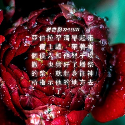 Picture 04 - 創 世 記 22:3 CUVT - 亞 伯 拉 罕 清 早 起 來 ， 備 上 驢 - Bible Verse Picture
