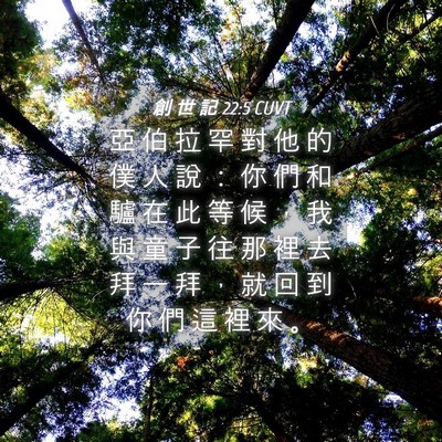 Picture 04 - 創 世 記 22:5 CUVT - 亞 伯 拉 罕 對 他 的 僕 人 說 ： 你 - Bible Verse Picture