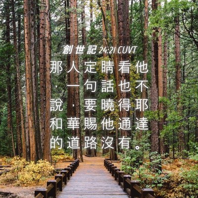Picture 04 - 創 世 記 24:21 CUVT - 那 人 定 睛 看 他 ， 一 句 話 也 不 - Bible Verse Picture