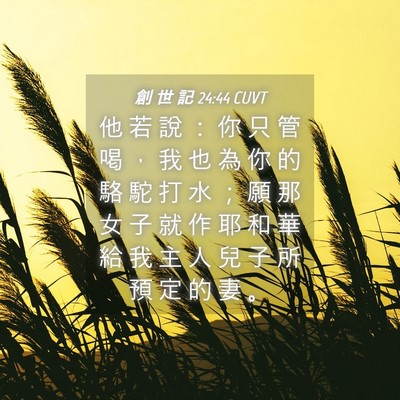 Picture 04 - 創 世 記 24:44 CUVT - 他 若 說 ： 你 只 管 喝 ， 我 也 為 - Bible Verse Picture