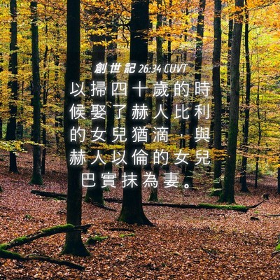Picture 04 - 創 世 記 26:34 CUVT - 以 掃 四 十 歲 的 時 候 娶 了 赫 人 - Bible Verse Picture