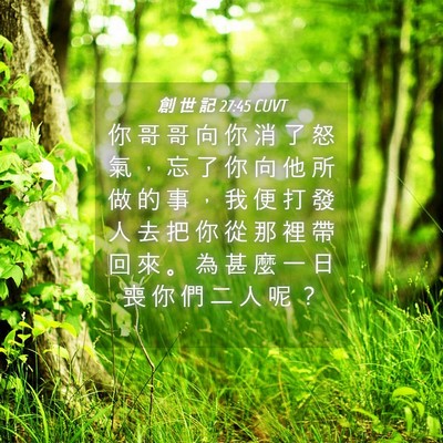 Picture 04 - 創 世 記 27:45 CUVT - 你 哥 哥 向 你 消 了 怒 氣 ， 忘 了 - Bible Verse Picture
