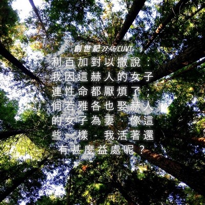 Picture 04 - 創 世 記 27:46 CUVT - 利 百 加 對 以 撒 說 ： 我 因 這 赫 - Bible Verse Picture