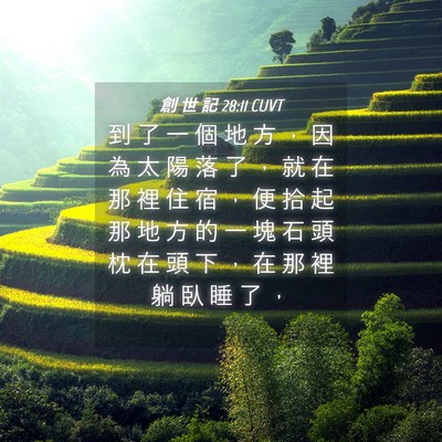 Picture 04 - 創 世 記 28:11 CUVT - 到 了 一 個 地 方 ， 因 為 太 陽 落 - Bible Verse Picture