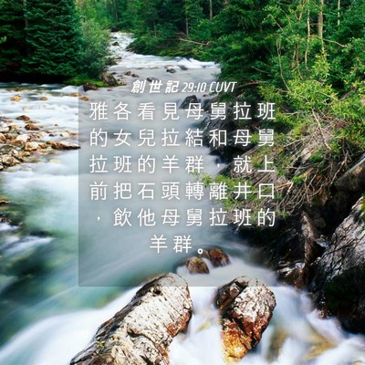 Picture 04 - 創 世 記 29:10 CUVT - 雅 各 看 見 母 舅 拉 班 的 女 兒 拉 - Bible Verse Picture