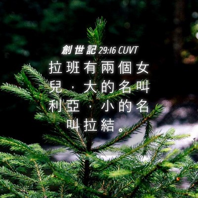 Picture 04 - 創 世 記 29:16 CUVT - 拉 班 有 兩 個 女 兒 ， 大 的 名 叫 - Bible Verse Picture