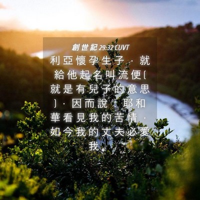 Picture 04 - 創 世 記 29:32 CUVT - 利 亞 懷 孕 生 子 ， 就 給 他 起 名 - Bible Verse Picture