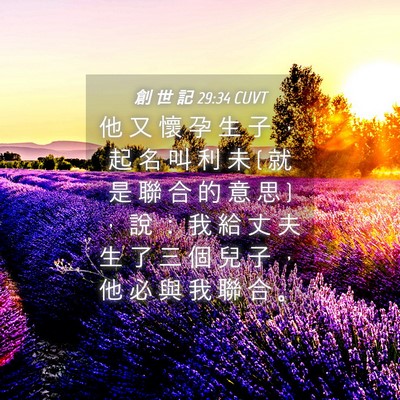 Picture 04 - 創 世 記 29:34 CUVT - 他 又 懷 孕 生 子 ， 起 名 叫 利 未 ( - Bible Verse Picture