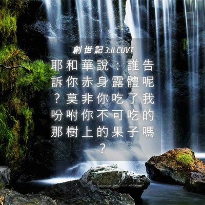 Picture 04 - 創 世 記 3:11 CUVT - 耶 和 華 說 ： 誰 告 訴 你 赤 身 露 - Bible Verse Picture