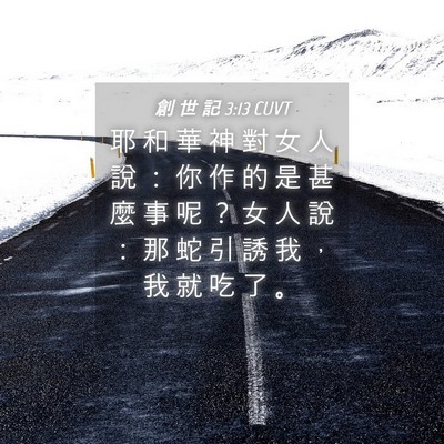 Picture 04 - 創 世 記 3:13 CUVT - 耶 和 華 神 對 女 人 說 ： 你 作 的 - Bible Verse Picture