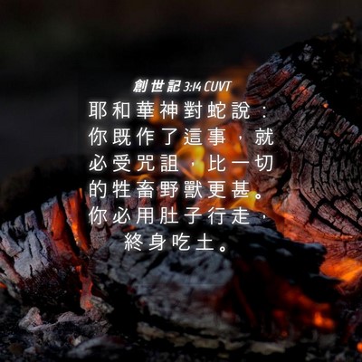 Picture 04 - 創 世 記 3:14 CUVT - 耶 和 華 神 對 蛇 說 ： 你 既 作 了 - Bible Verse Picture