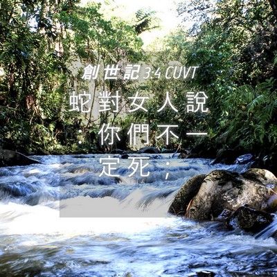 Picture 04 - 創 世 記 3:4 CUVT - 蛇 對 女 人 說 ： 你 們 不 一 定 死 - Bible Verse Picture