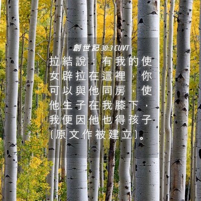 Picture 04 - 創 世 記 30:3 CUVT - 拉 結 說 ： 有 我 的 使 女 辟 拉 在 - Bible Verse Picture