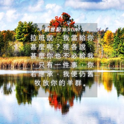Picture 04 - 創 世 記 30:31 CUVT - 拉 班 說 ： 我 當 給 你 甚 麼 呢 ？ - Bible Verse Picture