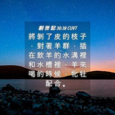 Picture 04 - 創 世 記 30:38 CUVT - 將 剝 了 皮 的 枝 子 ， 對 著 羊 群 - Bible Verse Picture