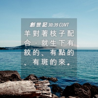 Picture 04 - 創 世 記 30:39 CUVT - 羊 對 著 枝 子 配 合 ， 就 生 下 有 - Bible Verse Picture