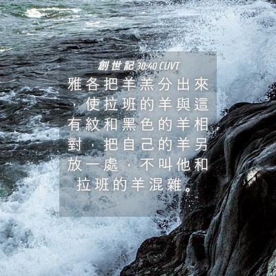 Picture 04 - 創 世 記 30:40 CUVT - 雅 各 把 羊 羔 分 出 來 ， 使 拉 班 - Bible Verse Picture