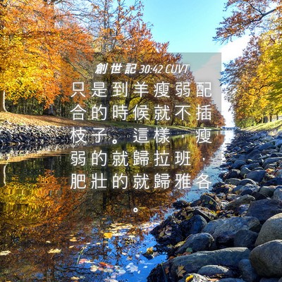Picture 04 - 創 世 記 30:42 CUVT - 只 是 到 羊 瘦 弱 配 合 的 時 候 就 - Bible Verse Picture