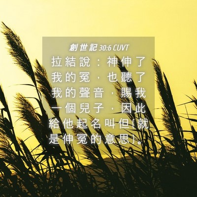 Picture 04 - 創 世 記 30:6 CUVT - 拉 結 說 ： 神 伸 了 我 的 冤 ， 也 - Bible Verse Picture