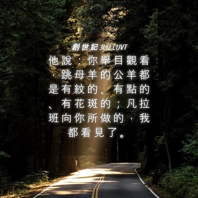Picture 04 - 創 世 記 31:12 CUVT - 他 說 ： 你 舉 目 觀 看 ， 跳 母 羊 - Bible Verse Picture