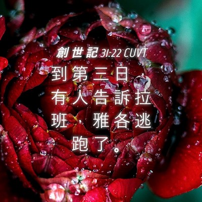 Picture 04 - 創 世 記 31:22 CUVT - 到 第 三 日 ， 有 人 告 訴 拉 班 ， - Bible Verse Picture