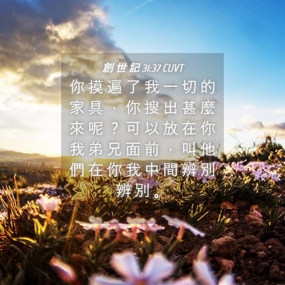 Picture 04 - 創 世 記 31:37 CUVT - 你 摸 遍 了 我 一 切 的 家 具 ， 你 - Bible Verse Picture