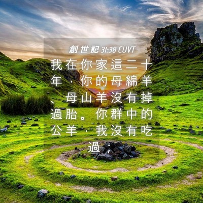 Picture 04 - 創 世 記 31:38 CUVT - 我 在 你 家 這 二 十 年 ， 你 的 母 - Bible Verse Picture