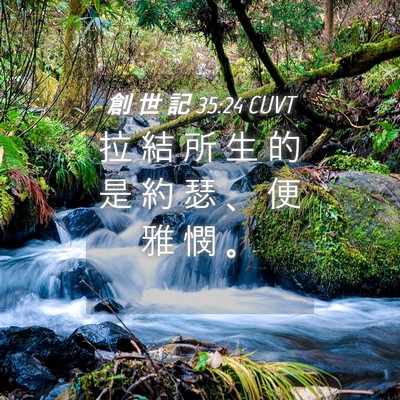 Picture 04 - 創 世 記 35:24 CUVT - 拉 結 所 生 的 是 約 瑟 、 便 雅 憫 - Bible Verse Picture