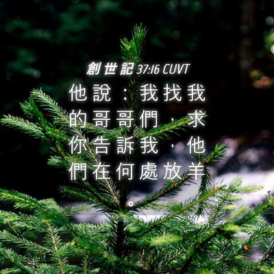 Picture 04 - 創 世 記 37:16 CUVT - 他 說 ： 我 找 我 的 哥 哥 們 ， 求 - Bible Verse Picture