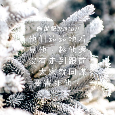 Picture 04 - 創 世 記 37:18 CUVT - 他 們 遠 遠 地 看 見 他 ， 趁 他 還 - Bible Verse Picture