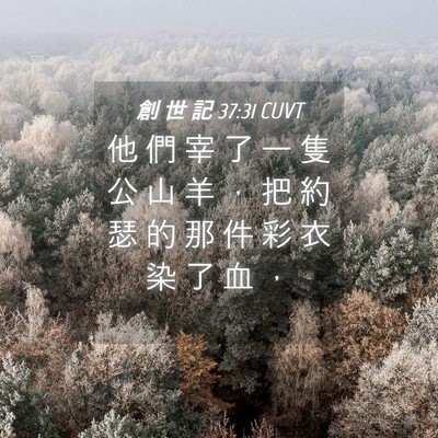 Picture 04 - 創 世 記 37:31 CUVT - 他 們 宰 了 一 隻 公 山 羊 ， 把 約 - Bible Verse Picture
