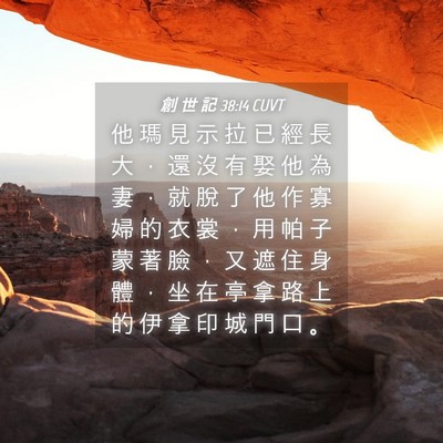 Picture 04 - 創 世 記 38:14 CUVT - 他 瑪 見 示 拉 已 經 長 大 ， 還 沒 - Bible Verse Picture