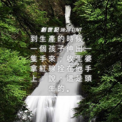 Picture 04 - 創 世 記 38:28 CUVT - 到 生 產 的 時 候 ， 一 個 孩 子 伸 - Bible Verse Picture