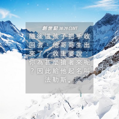 Picture 04 - 創 世 記 38:29 CUVT - 隨 後 這 孩 子 把 手 收 回 去 ， 他 - Bible Verse Picture