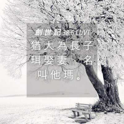 Picture 04 - 創 世 記 38:6 CUVT - 猶 大 為 長 子 珥 娶 妻 ， 名 叫 他 - Bible Verse Picture