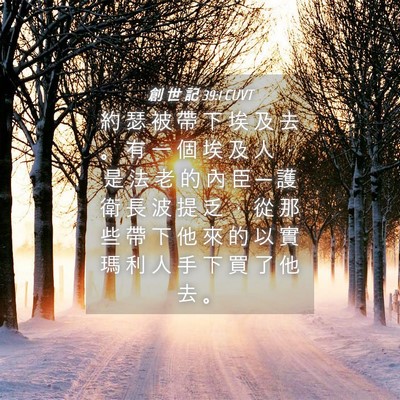 Picture 04 - 創 世 記 39:1 CUVT - 約 瑟 被 帶 下 埃 及 去 。 有 一 個 - Bible Verse Picture