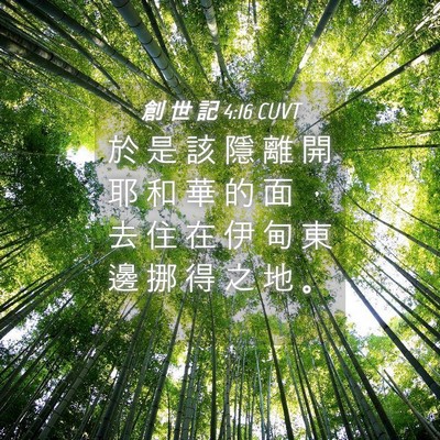 Picture 04 - 創 世 記 4:16 CUVT - 於 是 該 隱 離 開 耶 和 華 的 面 ， - Bible Verse Picture