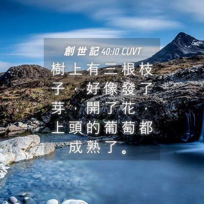 Picture 04 - 創 世 記 40:10 CUVT - 樹 上 有 三 根 枝 子 ， 好 像 發 了 - Bible Verse Picture