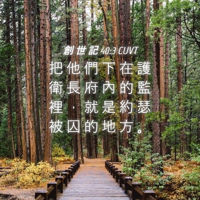 Picture 04 - 創 世 記 40:3 CUVT - 把 他 們 下 在 護 衛 長 府 內 的 監 - Bible Verse Picture