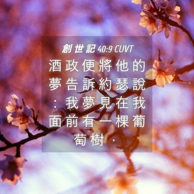 Picture 04 - 創 世 記 40:9 CUVT - 酒 政 便 將 他 的 夢 告 訴 約 瑟 說 - Bible Verse Picture