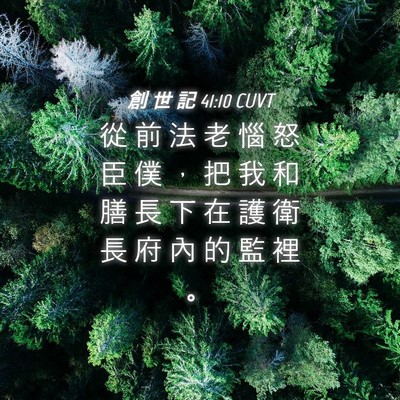 Picture 04 - 創 世 記 41:10 CUVT - 從 前 法 老 惱 怒 臣 僕 ， 把 我 和 - Bible Verse Picture
