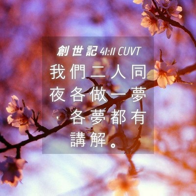 Picture 04 - 創 世 記 41:11 CUVT - 我 們 二 人 同 夜 各 做 一 夢 ， 各 - Bible Verse Picture