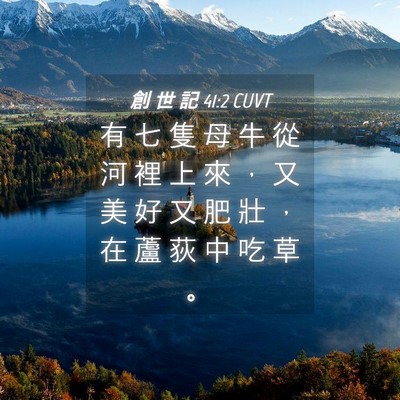 Picture 04 - 創 世 記 41:2 CUVT - 有 七 隻 母 牛 從 河 裡 上 來 ， 又 - Bible Verse Picture