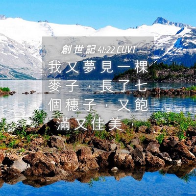 Picture 04 - 創 世 記 41:22 CUVT - 我 又 夢 見 一 棵 麥 子 ， 長 了 七 - Bible Verse Picture